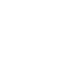 impresa di pulizie volpi